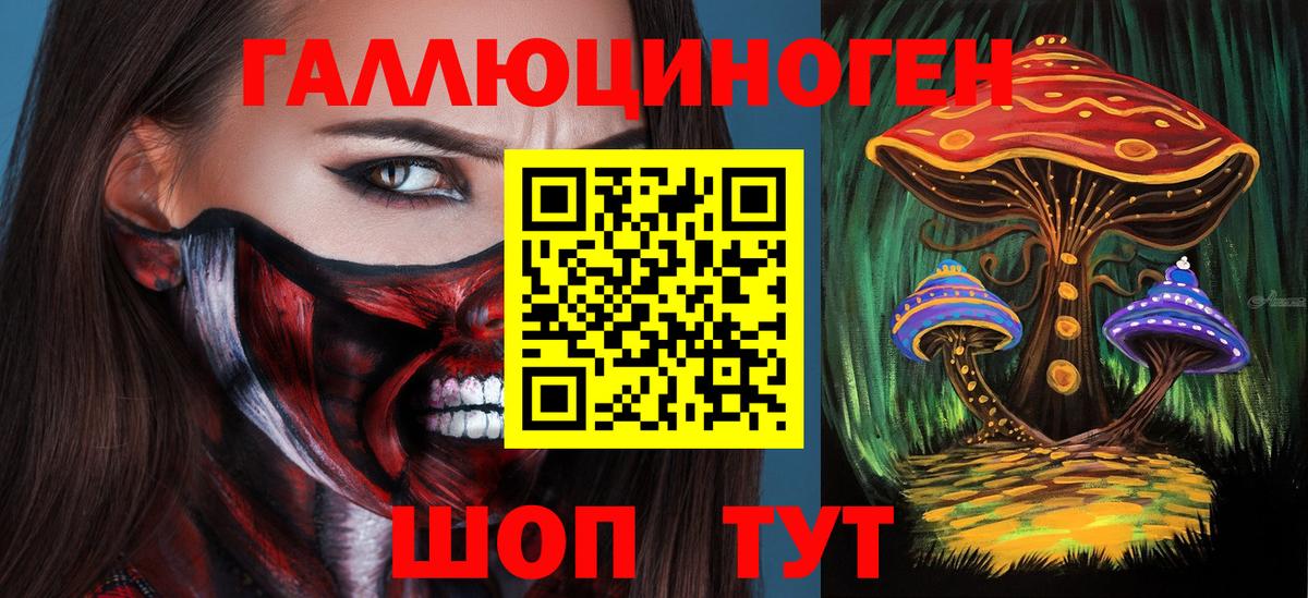 Псилоцибиновые грибы Psilocybine cubensis Лесосибирск