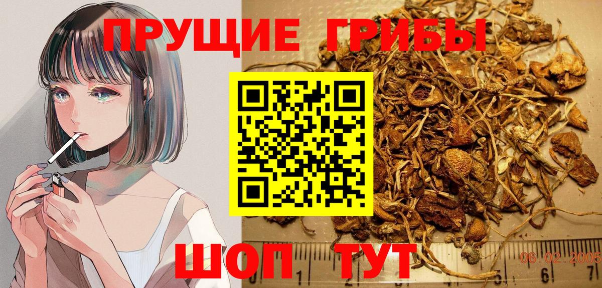 Галлюциногенные грибы Psilocybe  Вход с VPN  Галлюциногенные грибы Psilocybine cubensis  Лесосибирск 